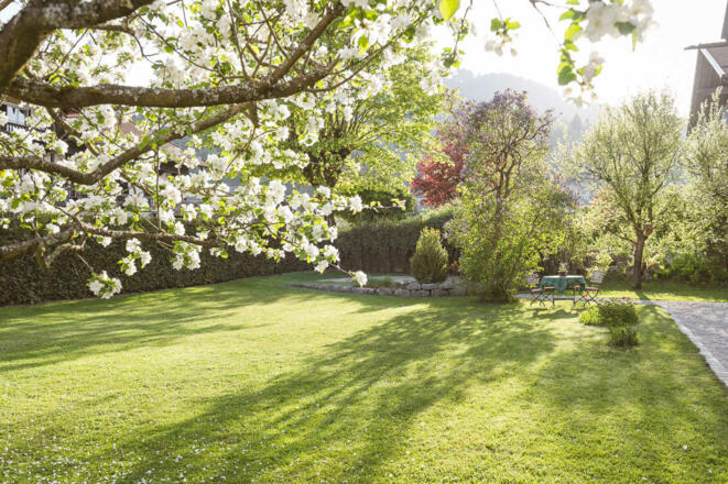 Unser schöner Garten