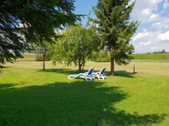 Garten 6