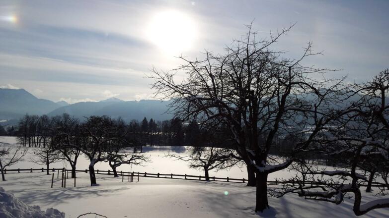 Garten im Winter