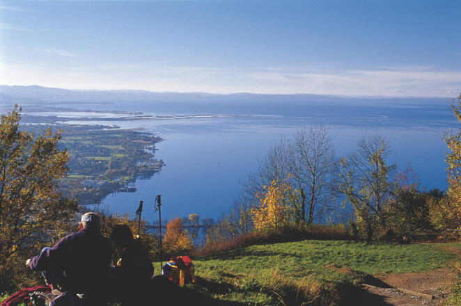 Blick auf den Bodensee vom Pfänder