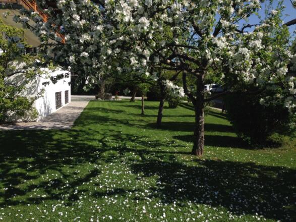 Unser schöner Garten