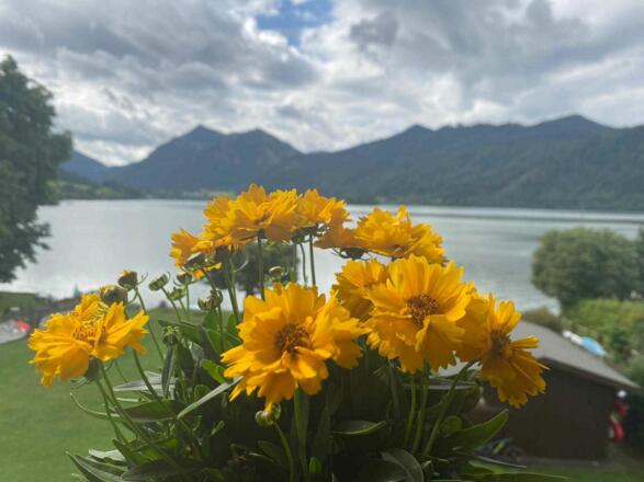 Ausblick