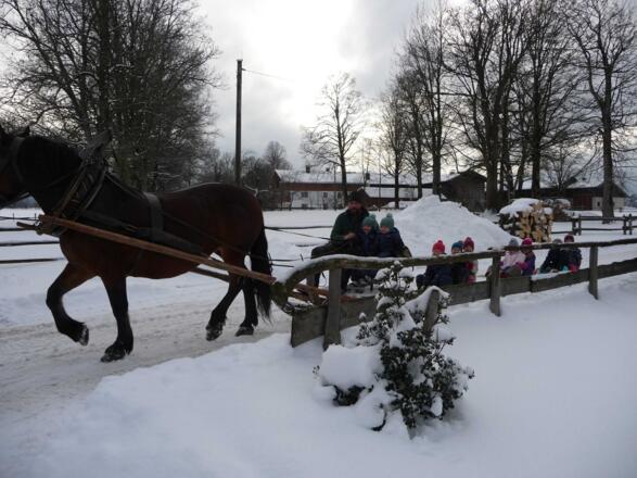 kleine Schlittenfahrt mit dem Pferd