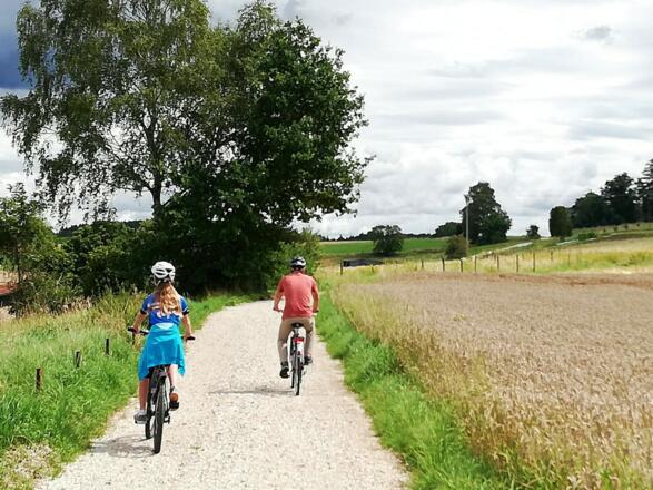 Radfahrer auf dem Bockerlradweg zwischen Au i. d. Hallertau und Reichertshausen