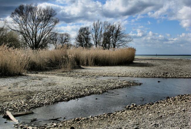 Am Mehrerauer Seeufer