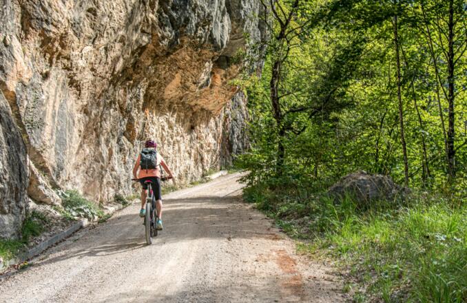 Die Röthelbach Forststraße