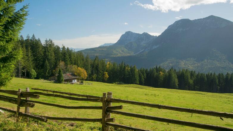 Bäckeralm