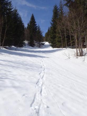 Am unteren Ende der Rinne
