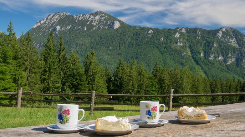 Auf der Bäckeralm