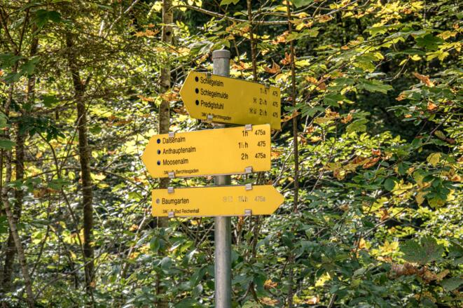 Wegweiser Röthelbachforststraße