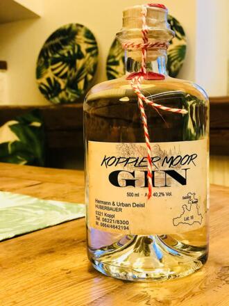 Koppler Moor Gin2