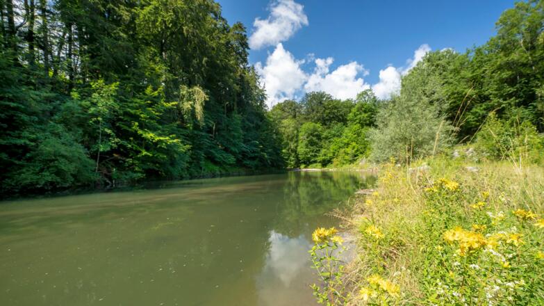 die Stoißer Ache in der Wolfertsau