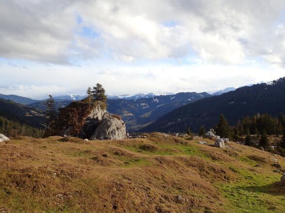 Aussichtspunkt bei der Stegmoosalm
