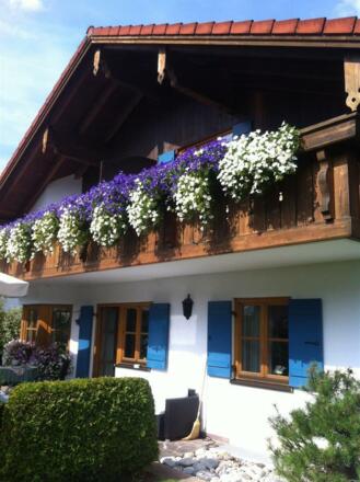 Sommer