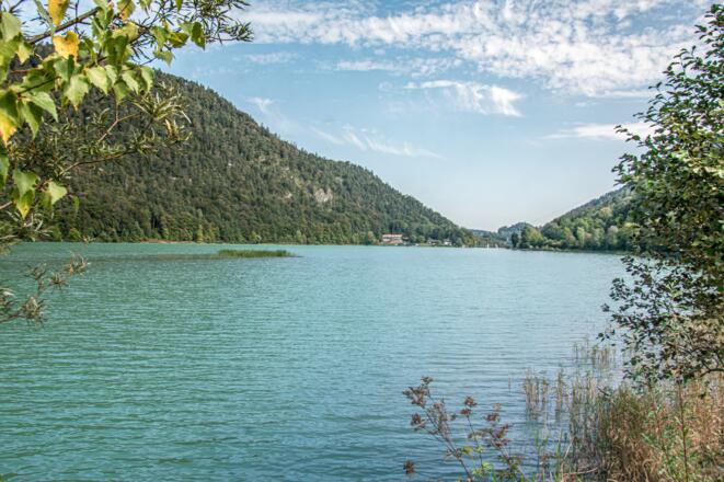 Der Saalachsee