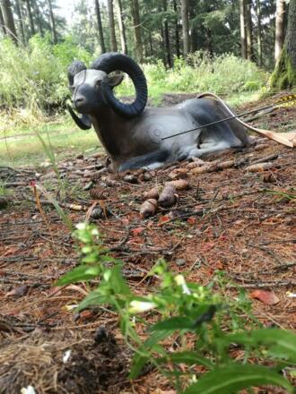 Bogenschießen in Eidenberg