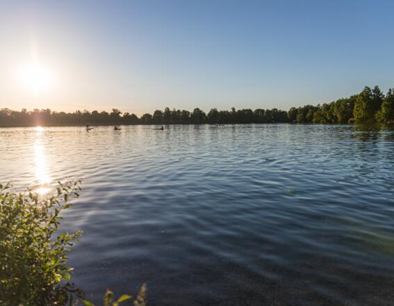 Stand up Paddlers auf dem Olchinger See