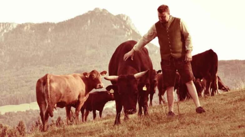 Bio Wagyu Rind Brandstatthof