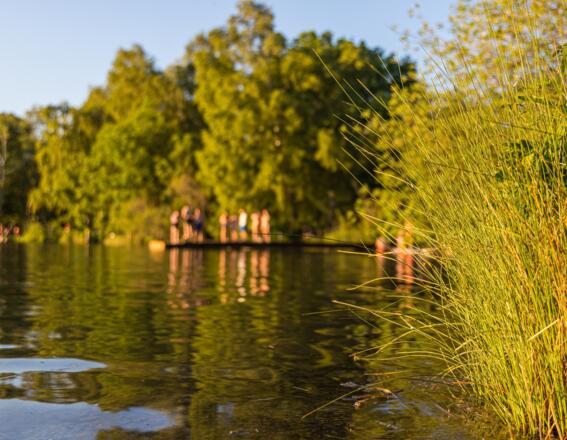 Badegäste auf dem Steg