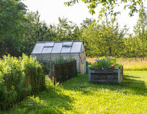Gewächshaus im Kreislehrgarten Adelshofen