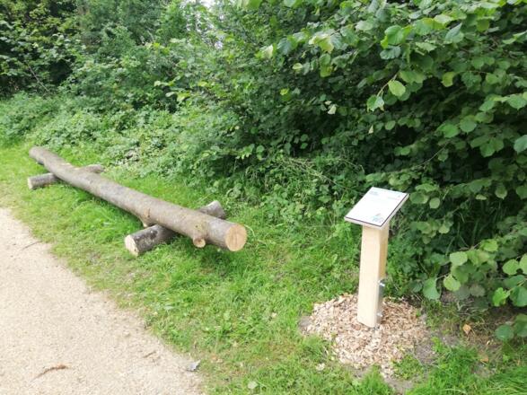 Naturlehrpfad Notzinger Weiher