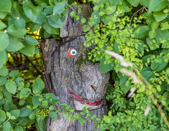 Baumstammgeist in Hecke