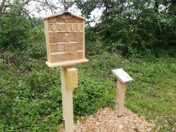 Naturlehrpfad Notzinger Weiher