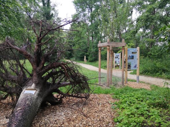 Naturlehrpfad Notzinger Weiher