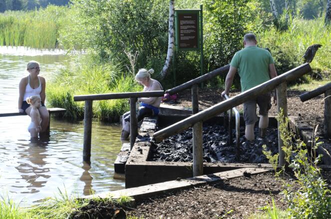 Kneippen im neuen Moortretbecken