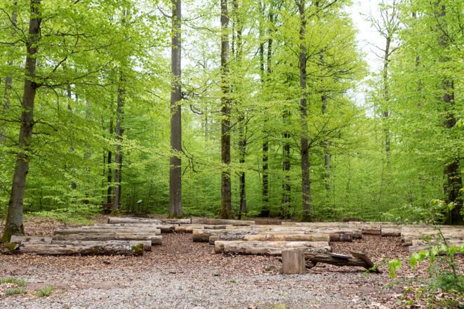 Wald für die Seele Bad Kissingen