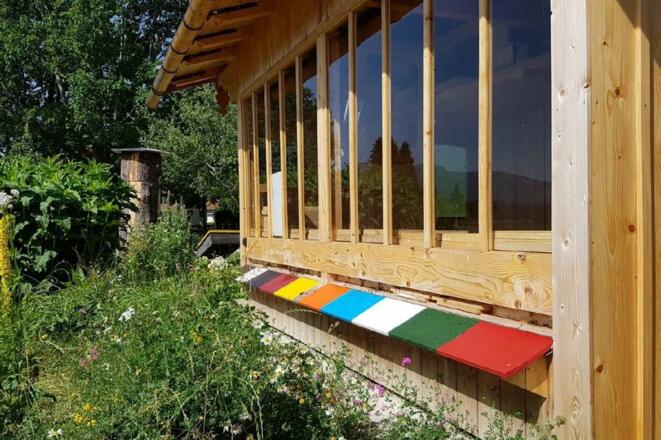 Bienenschauhaus mit Bienen