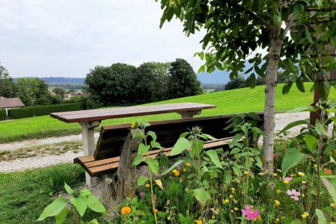 Nussbankerl mit Aussicht