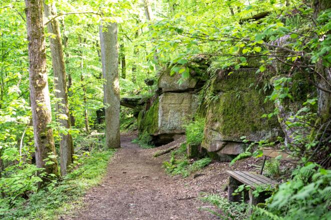 Wichtelhöhlen Bad Kissingen