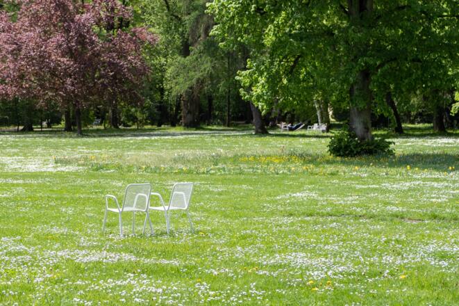 Sommer im Luitpoldpark
