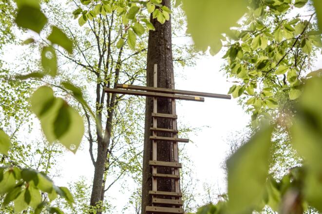 Wald für die Seele Bad Kissingen