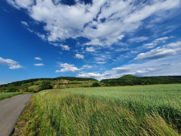 Falkenberg Weinbergshütten