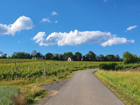 Radweg zwischen Traustadt und Falkenstein