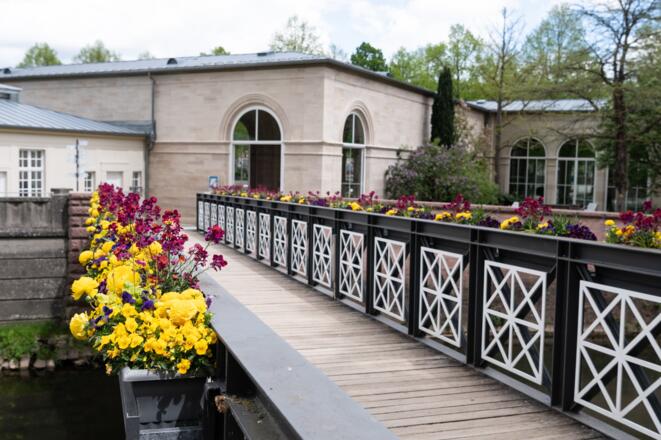 Blumenpracht auf dem Arkadensteg Bad Kissingen