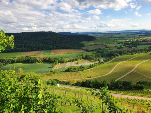 Aussicht von Stollburg Ruine