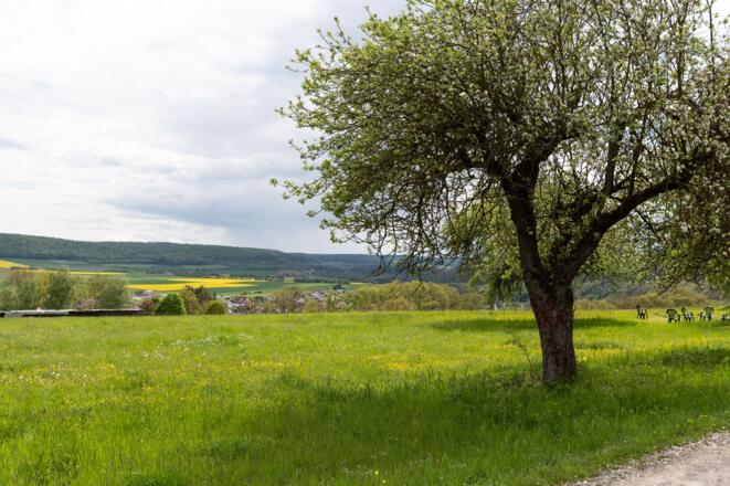 An der Kirchenruine Aura
