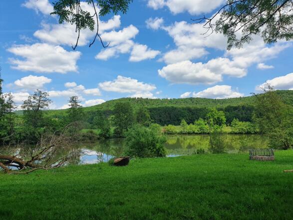 Fischteiche am Waldschwinder Hof