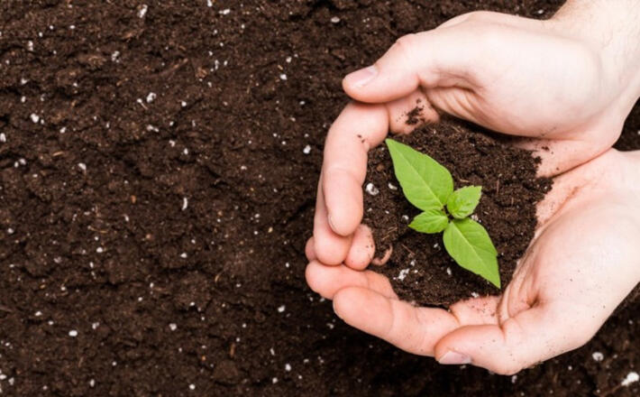 Kompostbereich im Naturgarten Bischofswiesen