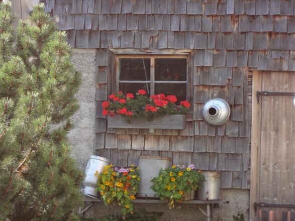 Nesselwängler Edenalpe