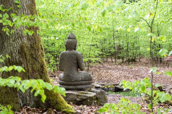 Wald für die Seele Bad Kissingen