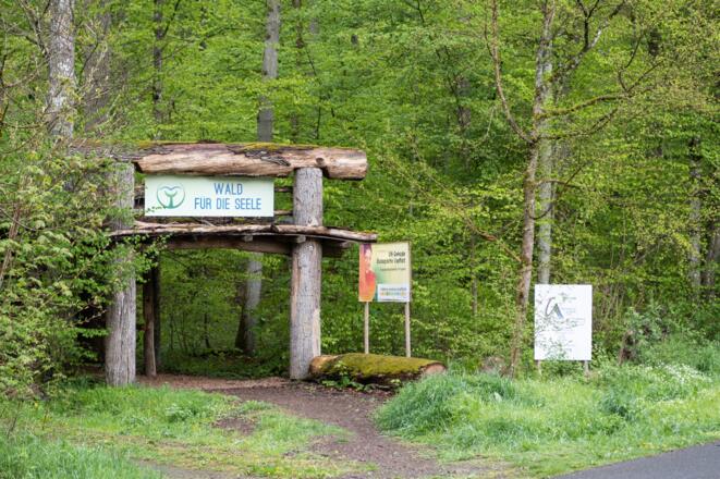 Wald für die Seele Bad Kissingen