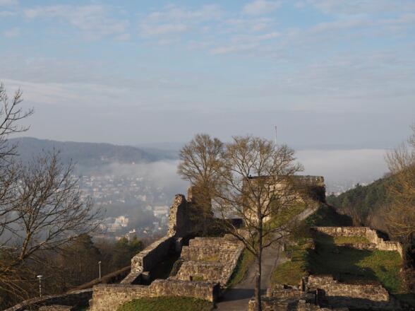 Ruine der Burg Botenlauben