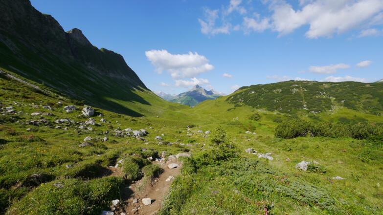 Blick vom Salzbüheljoch zum Warther Horn, davor die Hintere Lechleitner Alpe