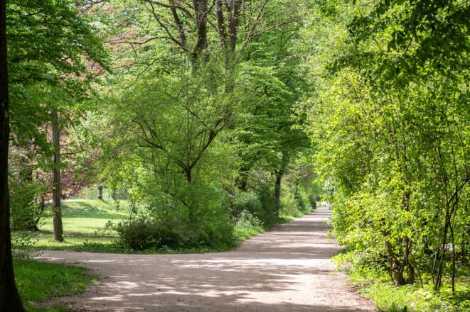 Wege durch den Luitpoldpark