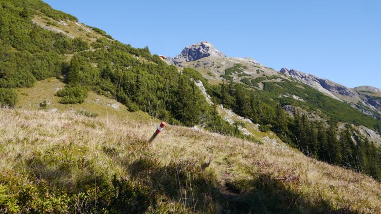 Blick von der Sattelebene zum Wilden Kasten, davor eine weitere Jagdhütte
