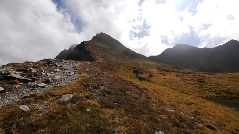 Sagtaler Spitze (Standkopf)